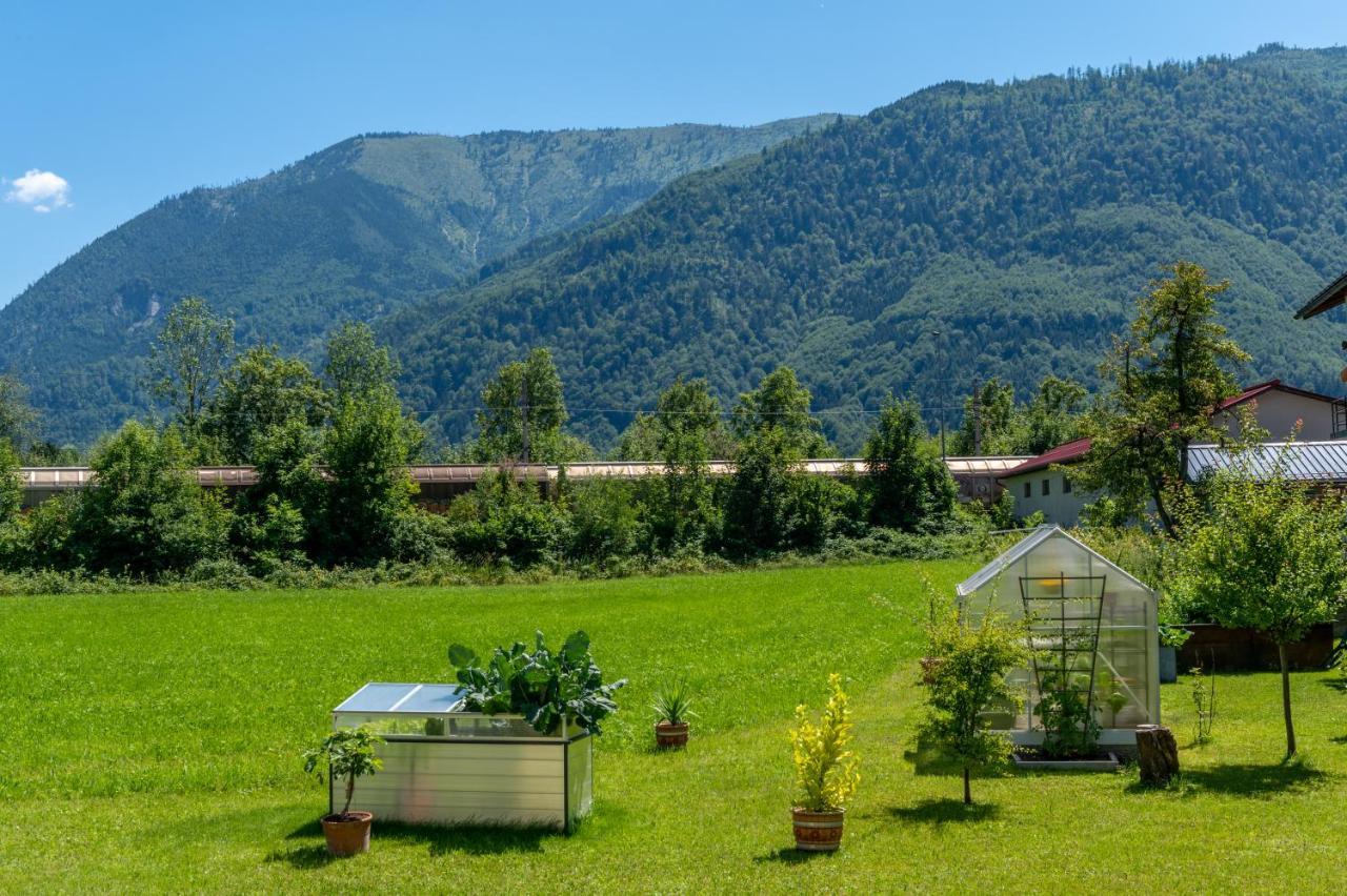 Fruehstueckspension Haus Ahamer Ebensee Bagian luar foto